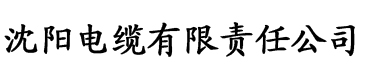 狠狠综合久久久久尤物丿电缆厂logo